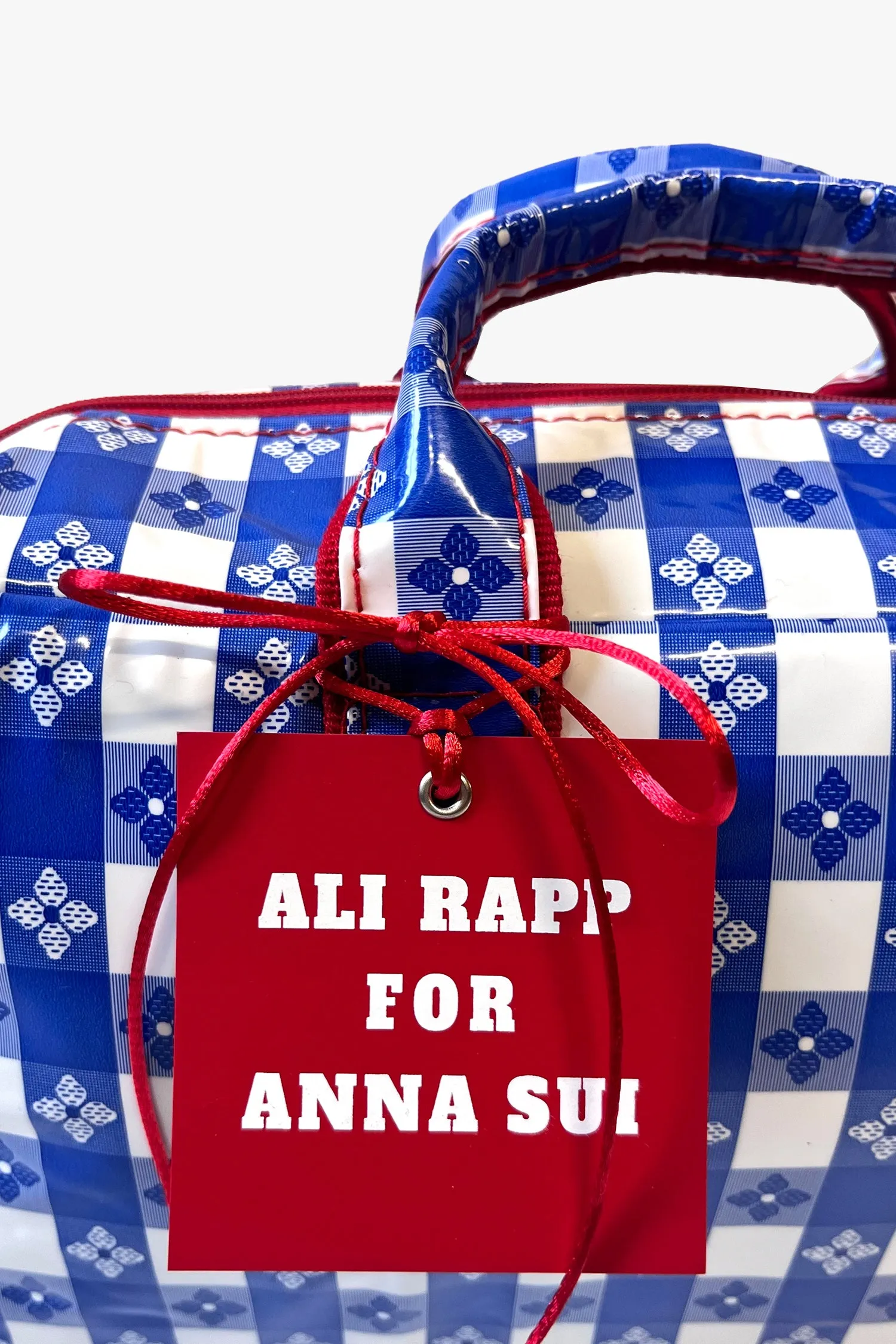 Ali Rapp for Anna Sui Medium Summer Picnic Annasui