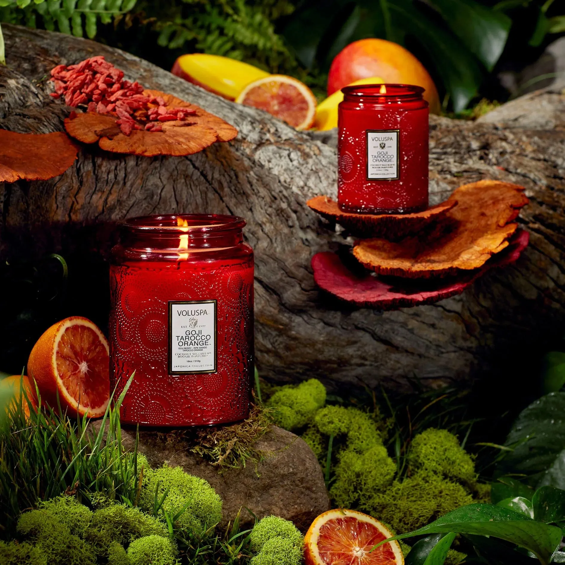 GOJI TAROCCO ORANGE LARGE JAR CANDLE